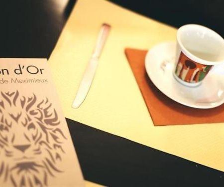 Hotel Brasserie Le Lion D'Or Meximieux Luaran gambar
